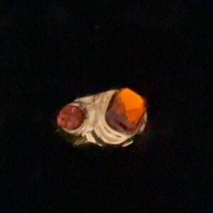 Orange Two Stone Gold Ring